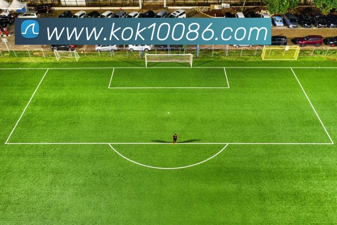 KOK体育发展历程